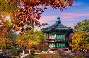 coreia multicor