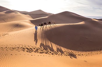 marrakesh e deserto de chigaga